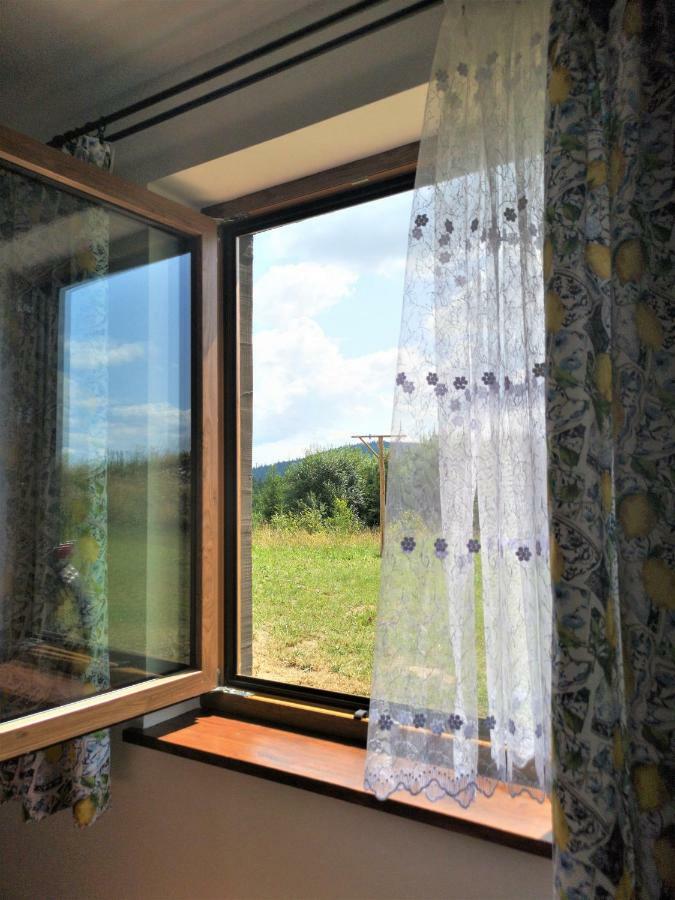 Apartament Z Kominkiem I Wanna Istebna Eksteriør billede